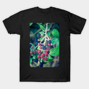 Ripening Blackberries T-Shirt